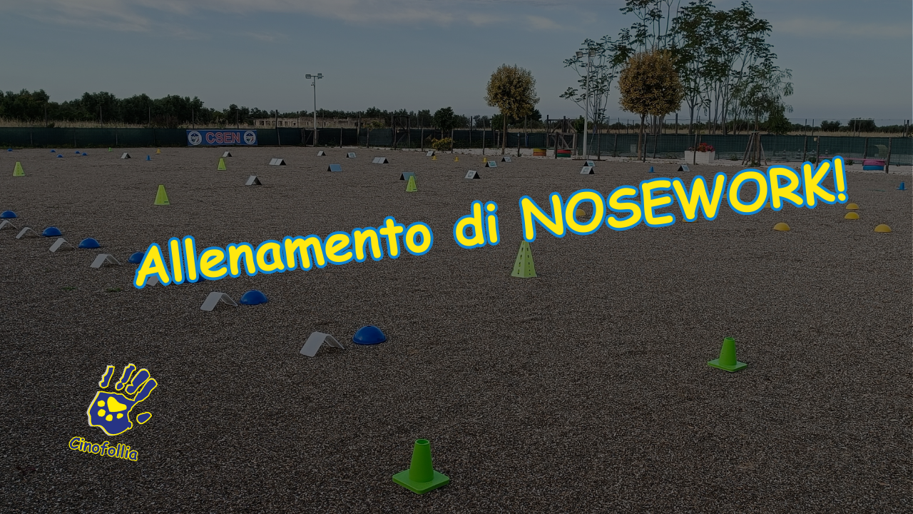 Allenamento di Nosework