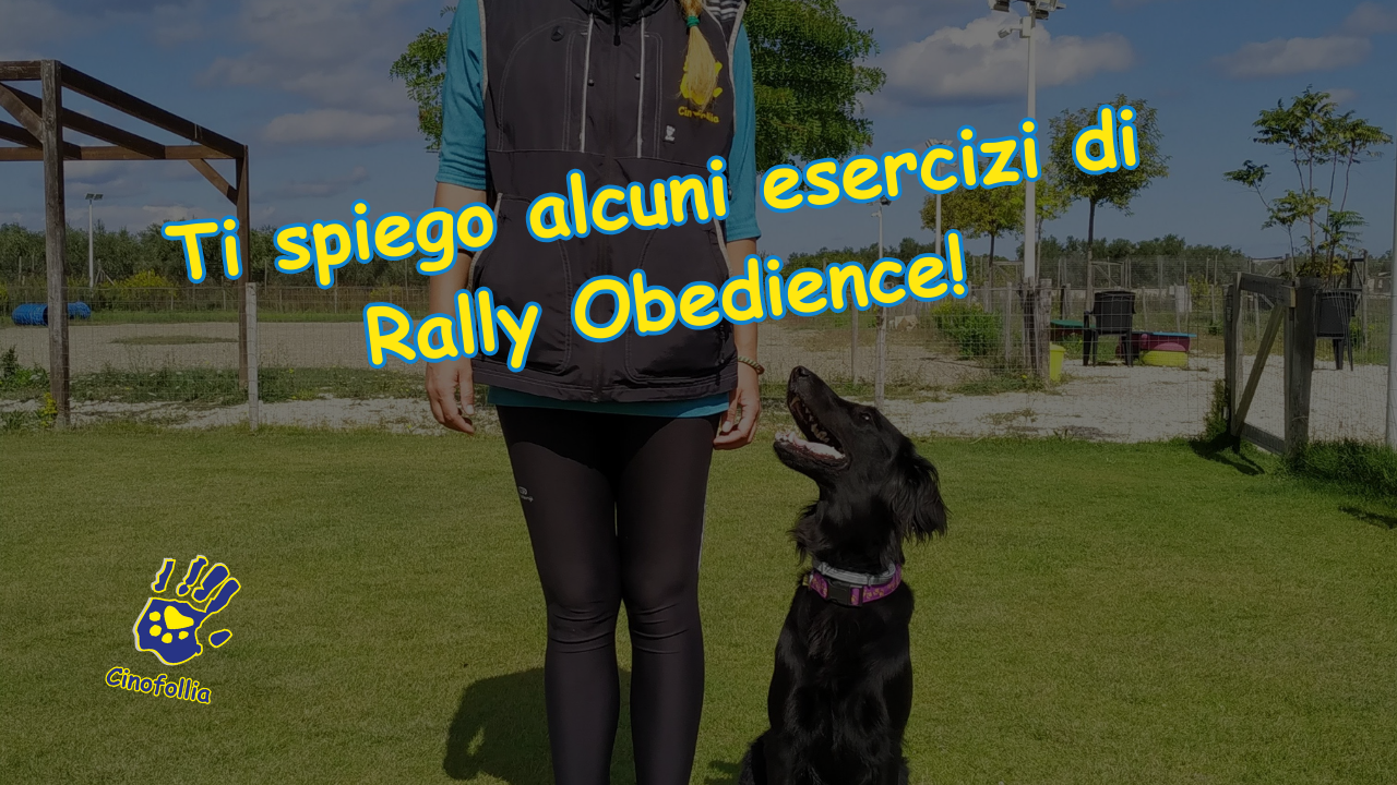 Allenamento di Rally Obedience