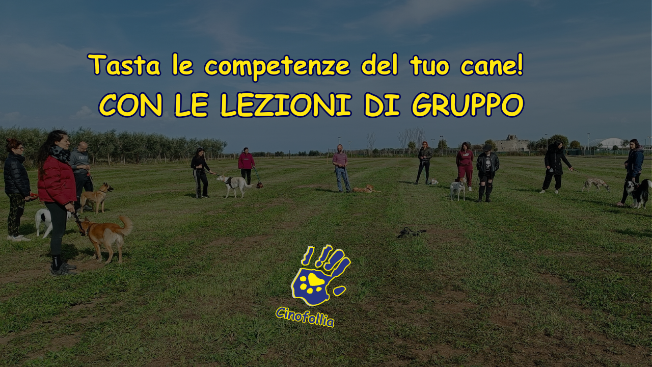 Esercizi avanzati in Gruppo!